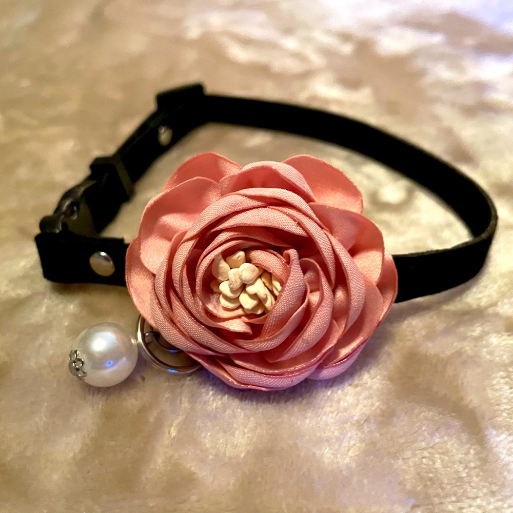 Handmade dog collar size small, new never worn